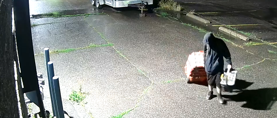 Tool theft caught on video