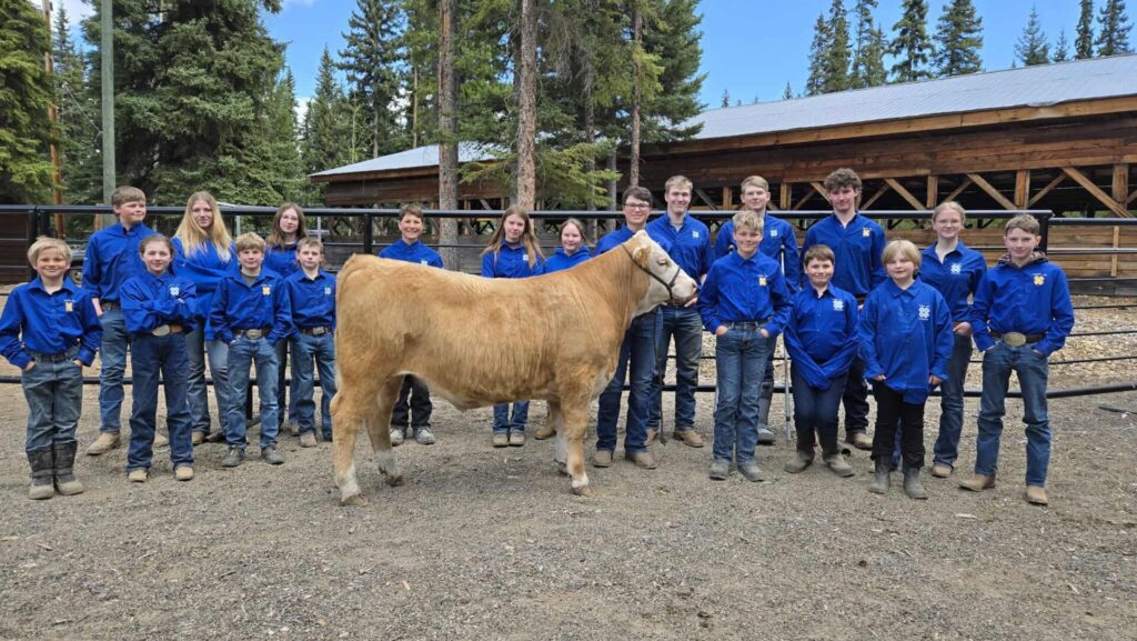 Topley 4H to auction Buddy Boxes for a Houston teenager