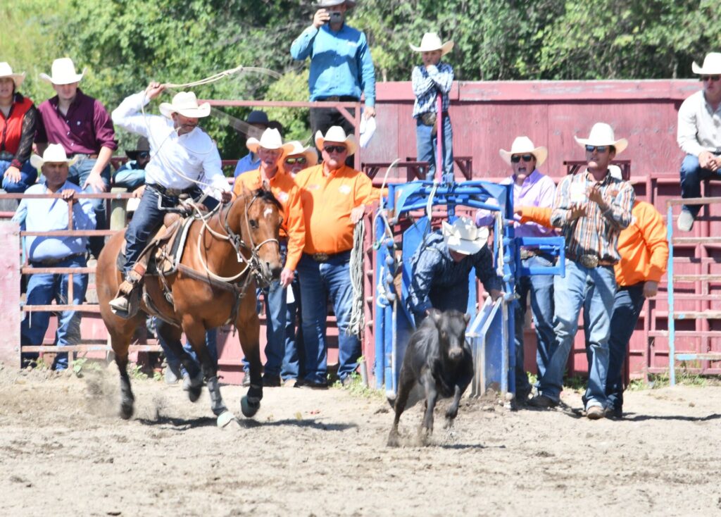 Riske Creek Cowboy Takes Tie-Down Roping Champion in Back-To-Back Quesnel Rodeos