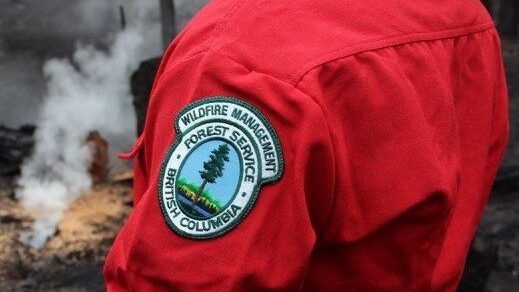 Arrow Lakes Drive brush fire under control