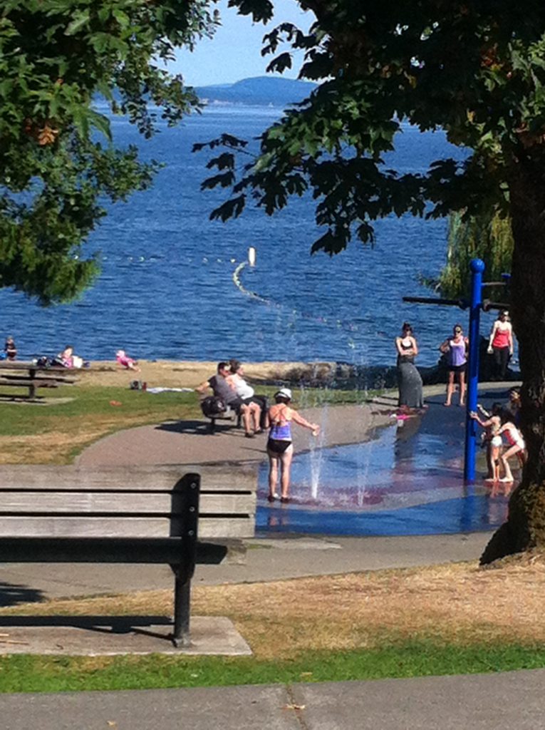 Unsatisfactory bacteriological in Maple Bay force Island Health to issue swimming advisory