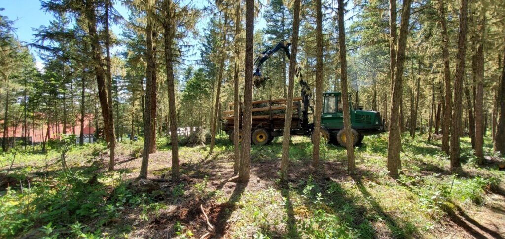 Woodlot Wildfire Risk Reduction Treatments Planned For The Cariboo