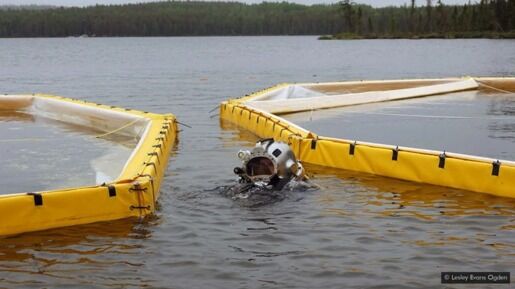 Quamichan Lake aeration trials set to begin in May