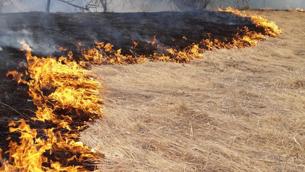 Multiple prescribed burns to be conducted near Invermere