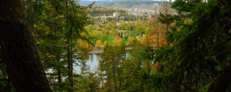 City looking for feedback on Community Wildfire Resiliency Plan update