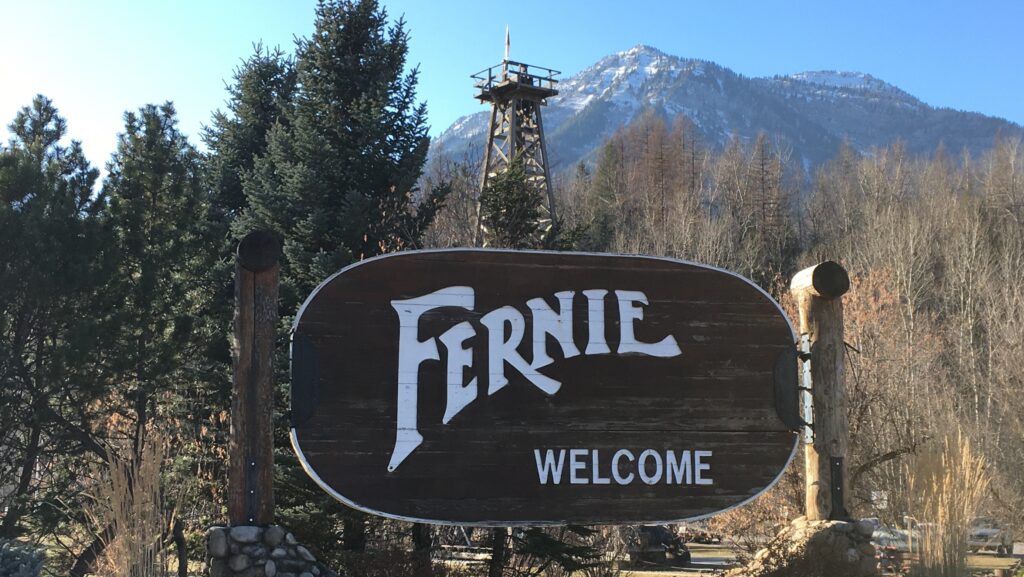 Fernie looking for task force members