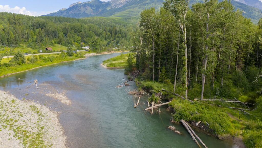 Fernie urges caution around Elk River