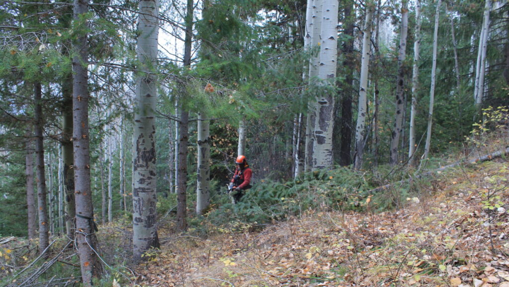 Funds supporting Kicking Horse Canyon habitat project