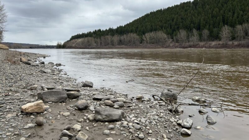 Wetter summer helping with drought in Prince George area