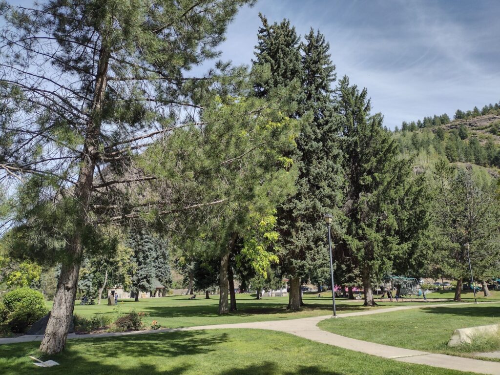 Trail to create tree inventory