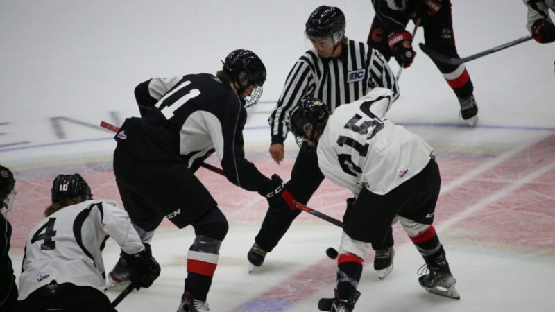 Cougars back on the ice for Training Camp this weekend