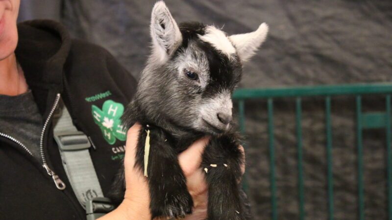 Photos from the final day of the 2025 BCNE