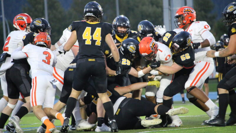 Kodiaks lose to Sun in defensive matchup