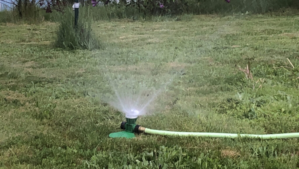 Nelson imposes stage 2 watering restrictions