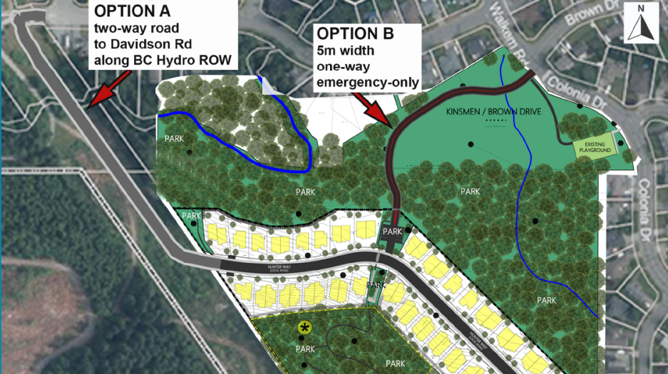 Ladysmith looks for alternative to emergency route through Brown Drive Park 
