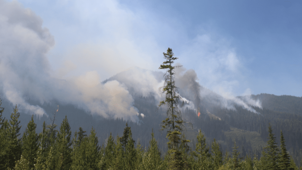 Newly sparked fires under control