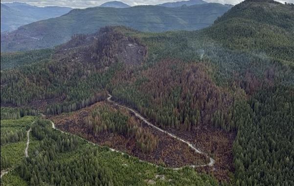 Province takes lead on plans to reopen Bamfield Main Road 