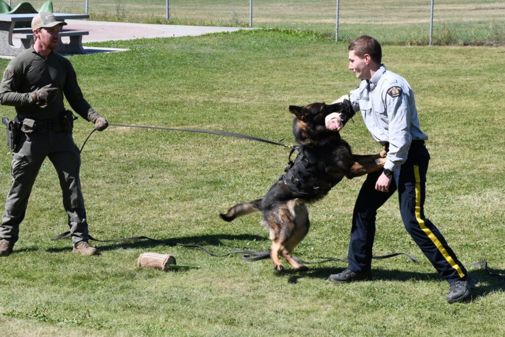 Quesnel children learned all about policing during annual RCMP Kids Camp