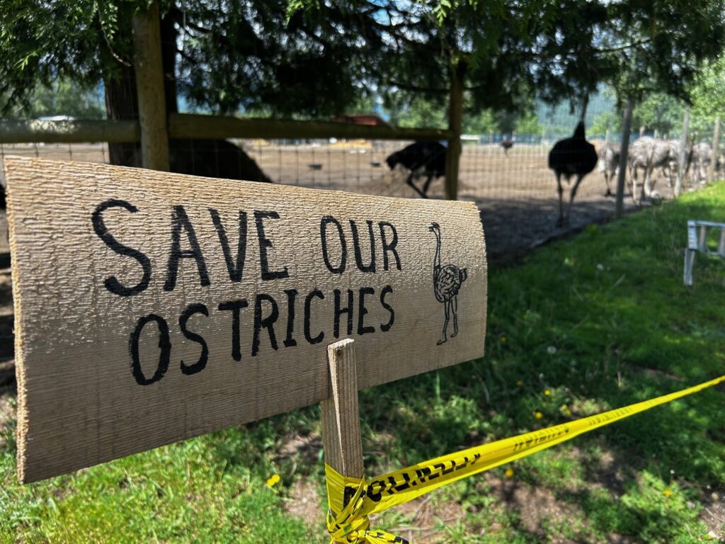 Arrow Lakes ostrich farm loses latest appeal