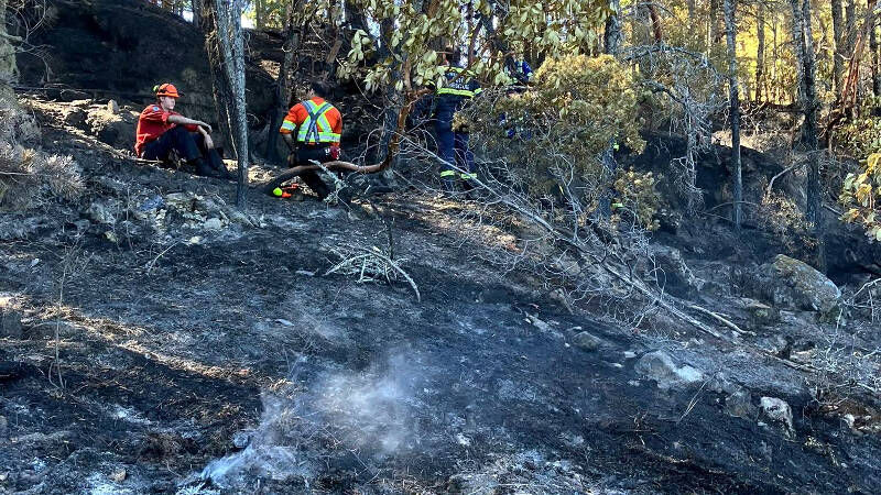 Cause of Wildwood wildfire determined