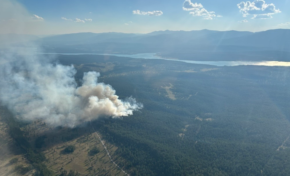 Emergency services respond to fire in Grasmere area