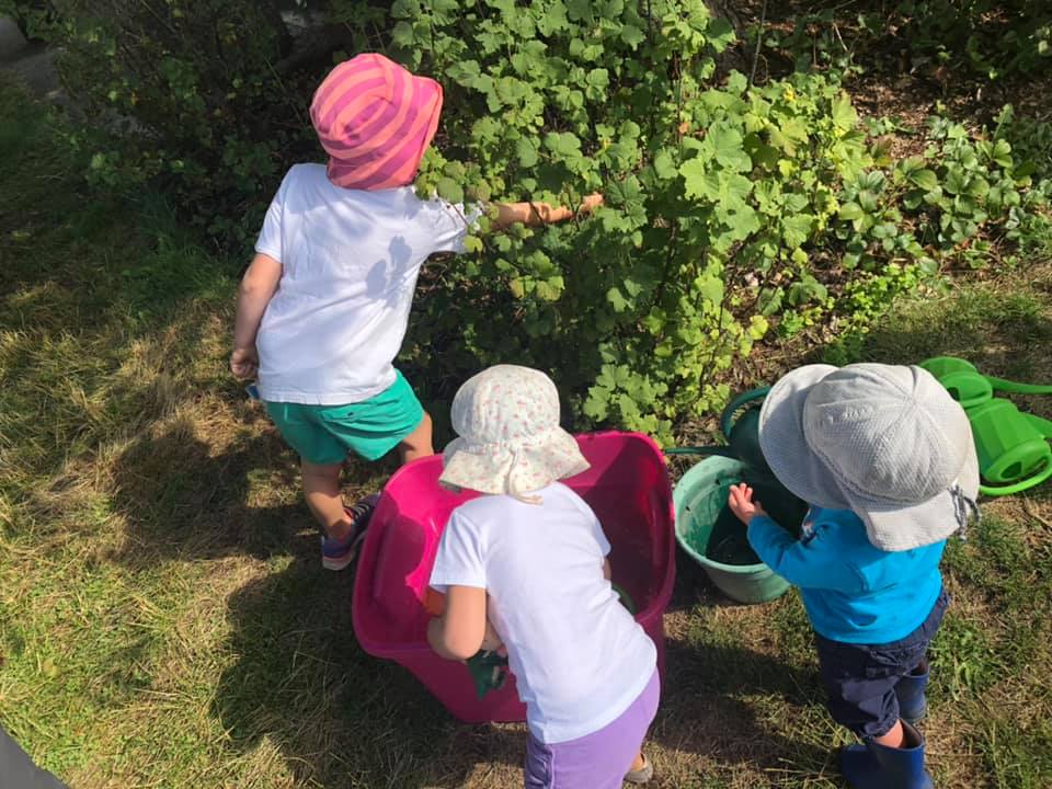 Community grant brings LTCES closer to fundraising goal