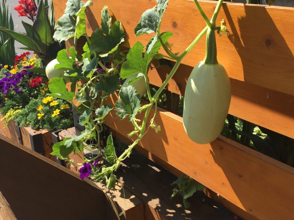 2 temperature records broken August 25th in the Cariboo