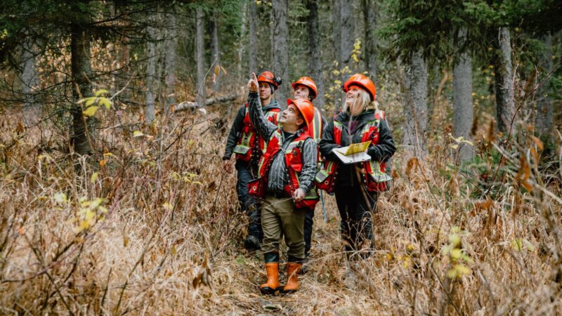 CNC receives federal grant for new sensing lab