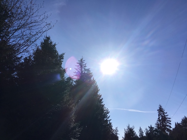 Several heat records broken or tied across Vancouver Island Sunday