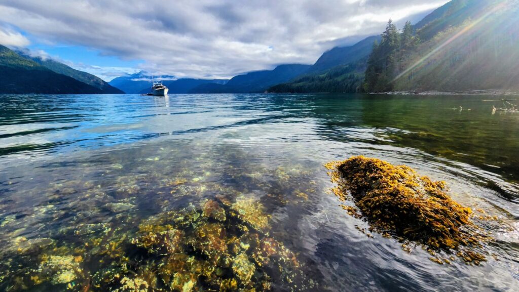 BC Parks Foundation raising money to add property to park system in Desolation Sound