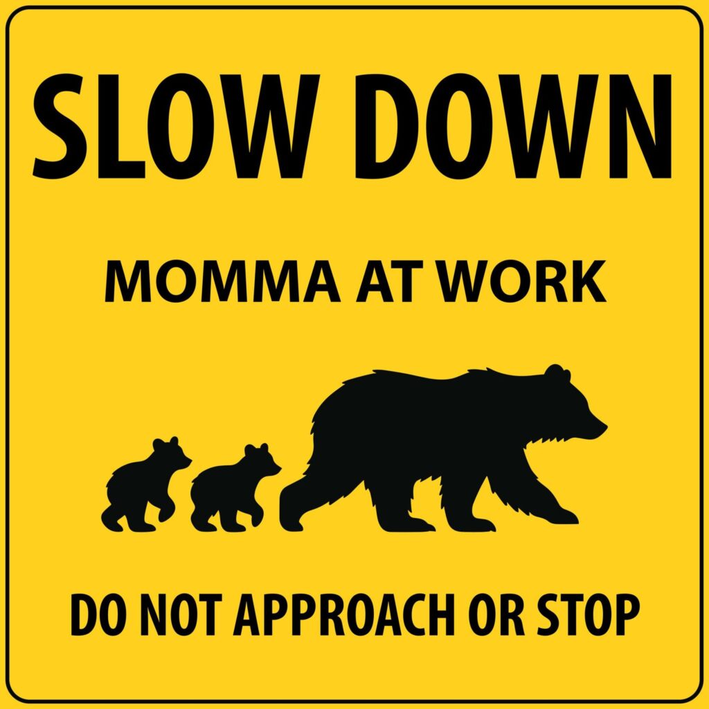 Costly Momma Bear Sign stolen outside of Barkerville
