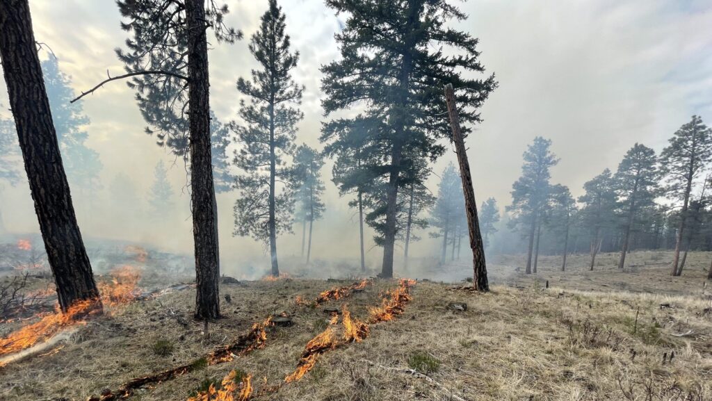 Pair of prescribed burned planned for next week