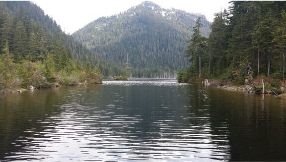 Sunshine Coast lifts most water conservation regulations 