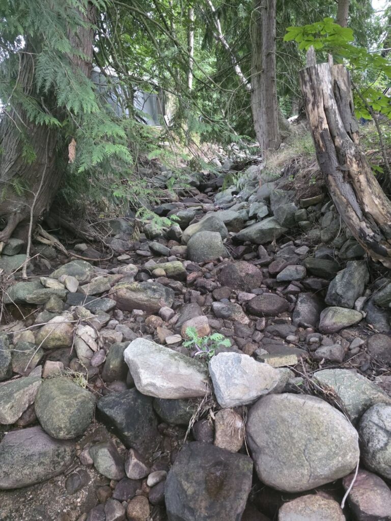 Nelson still looking into why Anderson Creek ran dry