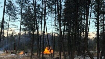 Mitigation work planned for community forest