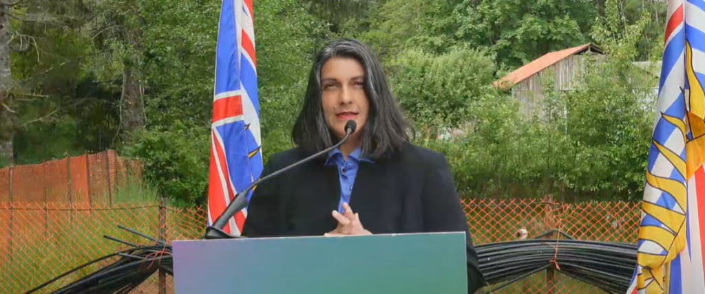 Elections B.C. issues fine to Courtenay-Comox Green candidate