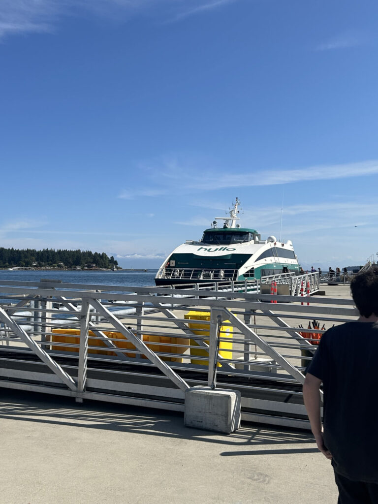 Hullo Ferries workers vote in favour of strike 