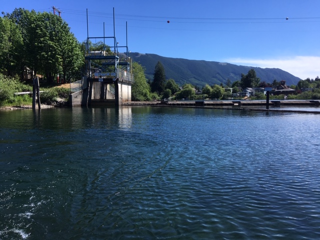 Hope remains that pumps not necessary to maintain Cowichan River