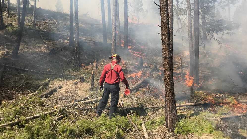 Prescribed burn getting underway near Invermere