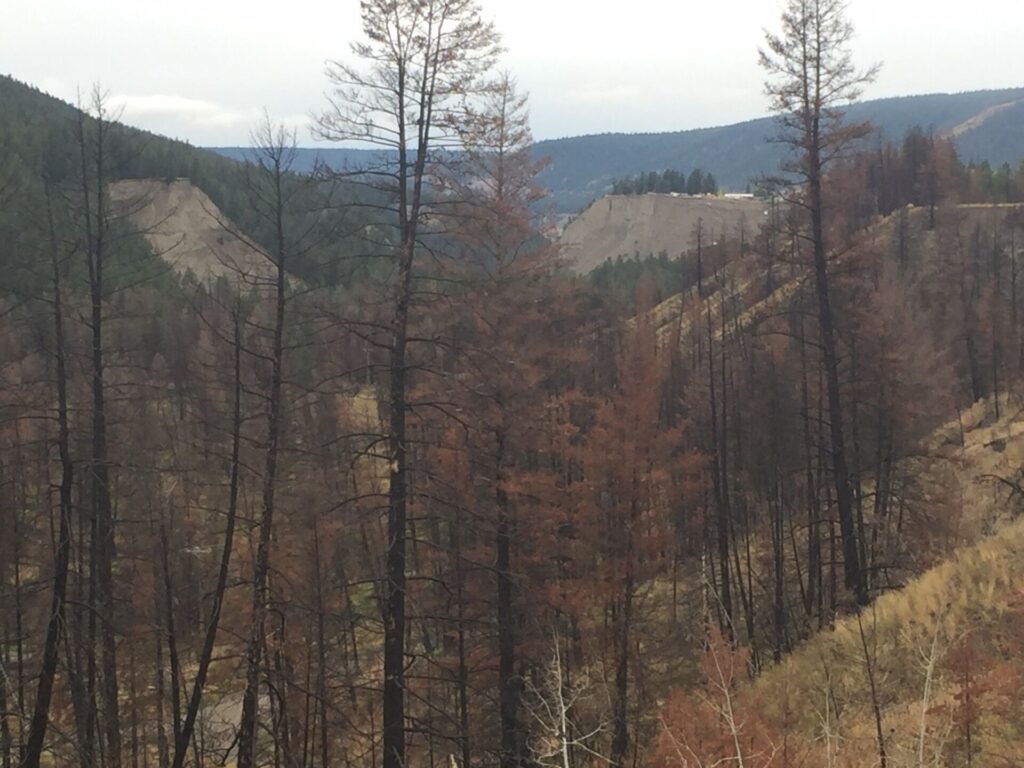 Contractors to begin work in the River Valley Trail in Williams Lake October 1