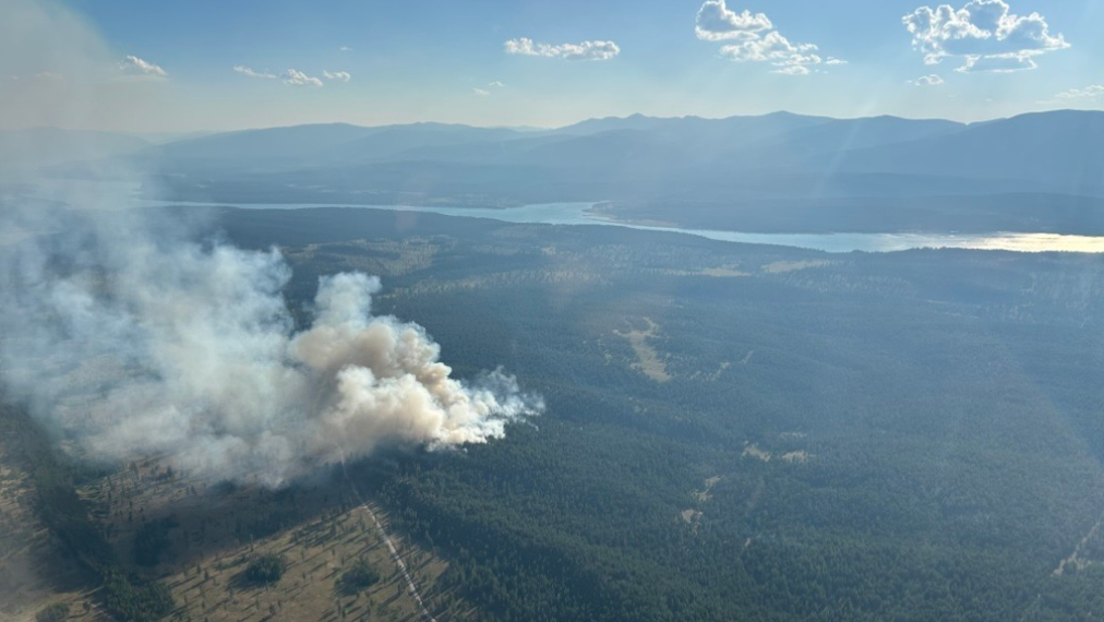 Fire near Grasmere under control