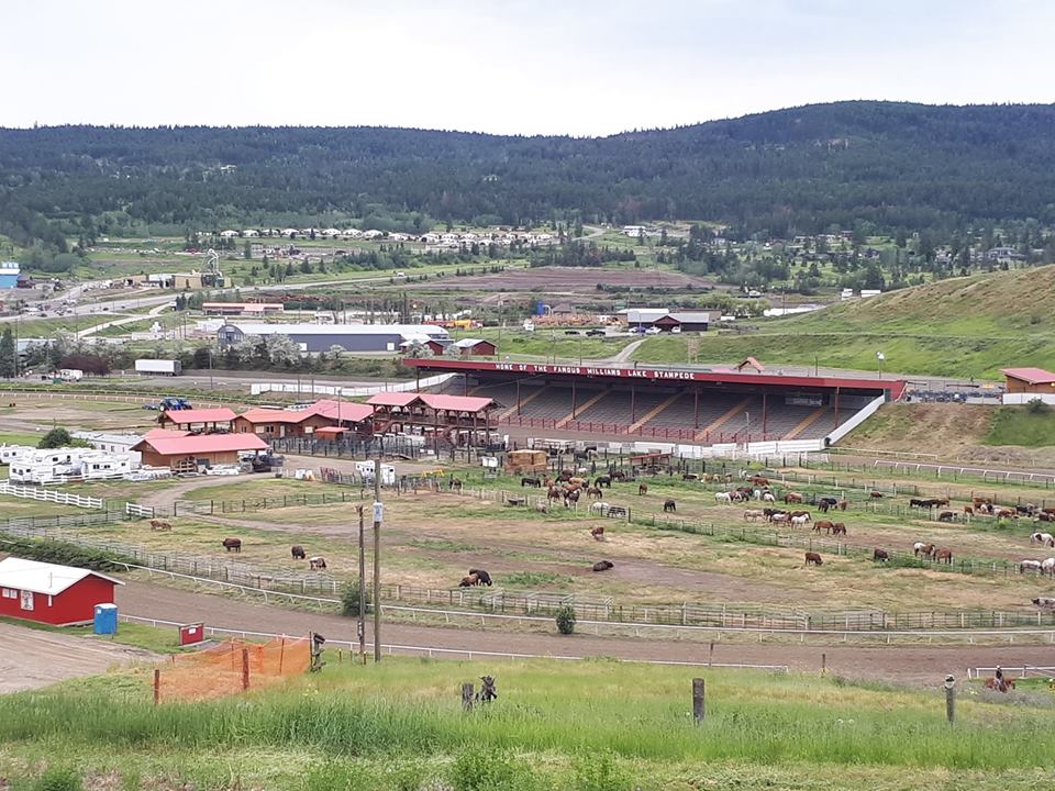 Williams Lake Stampede brought in $5 mil, but needs help to be sustainable