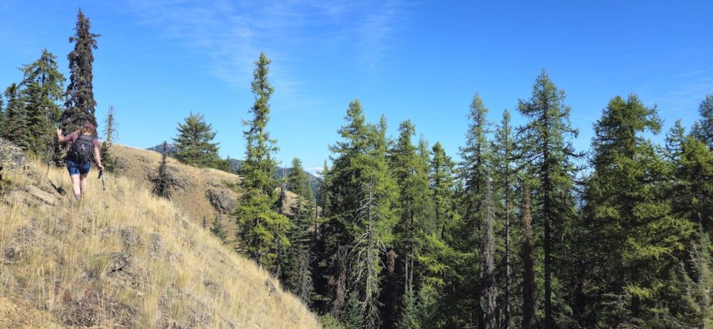 Record Ridge project receives mining permit