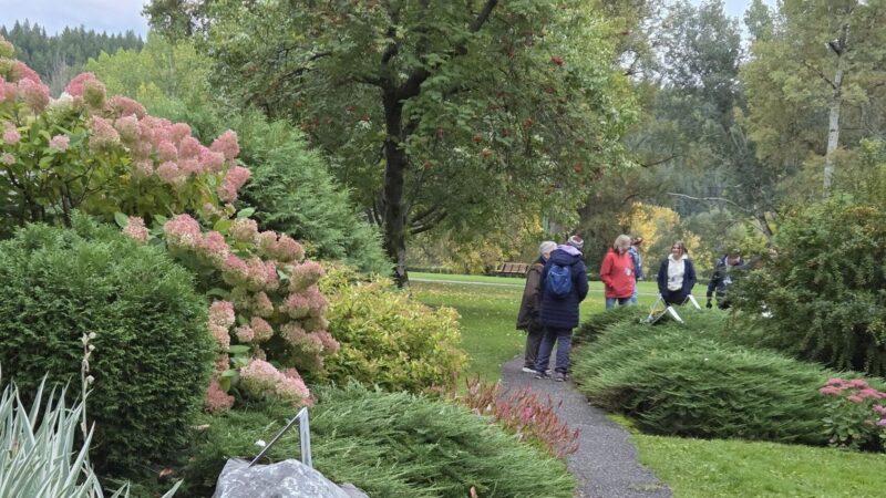 Dallas Werbecky Memorial Mood Walk brought awareness and fundraising for suicide prevention