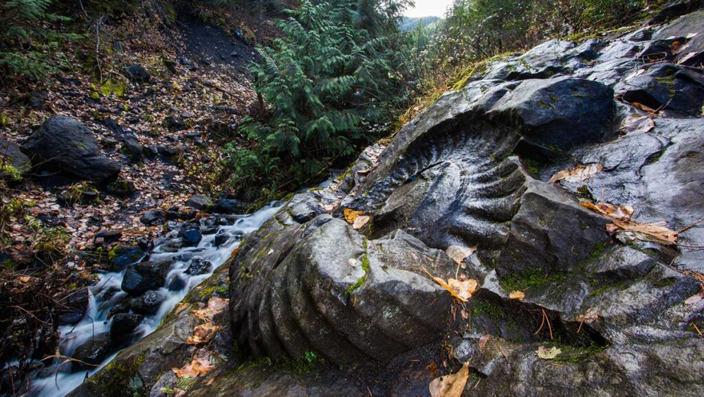 Fossil film crews promoting paleo tourism