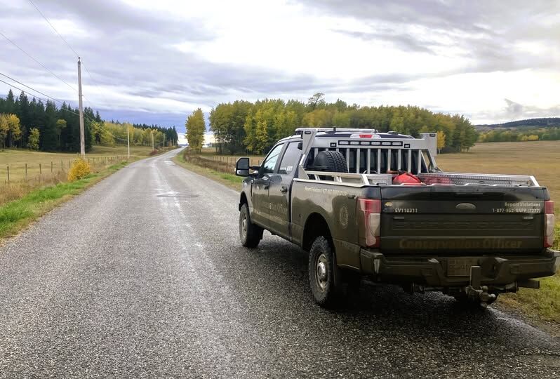 Deer found illegally hunted near Quesnel