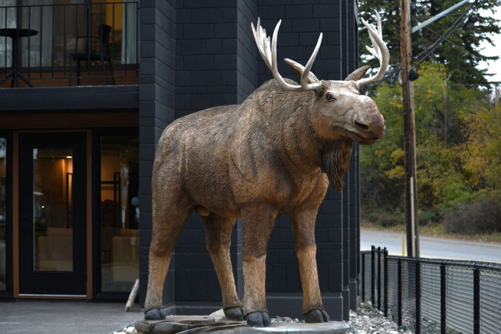 Quesnel’s famous moose is whole again