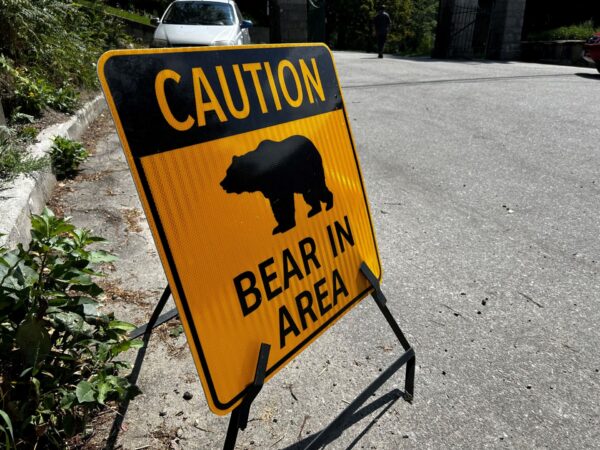 Conservation Officer Service investigating grizzly bear attack in McGregor Mountain area