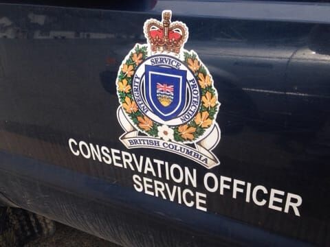 Vehicle used in illegal deer hunting found by Conservation