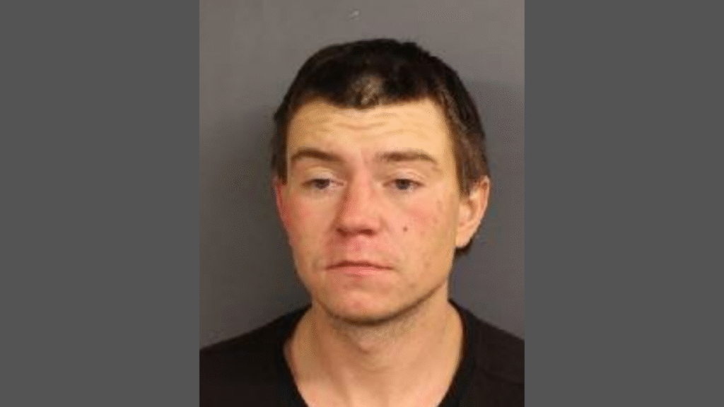 RCMP seek public assistance to find missing person